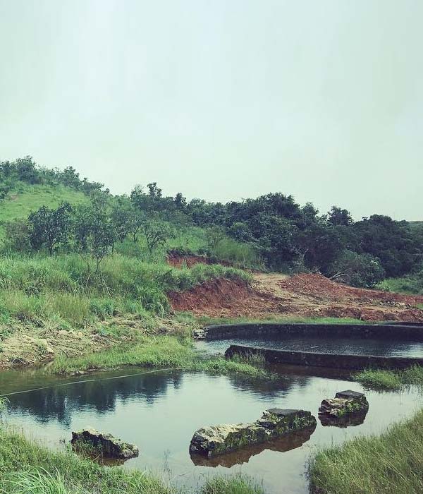 panchalikulam